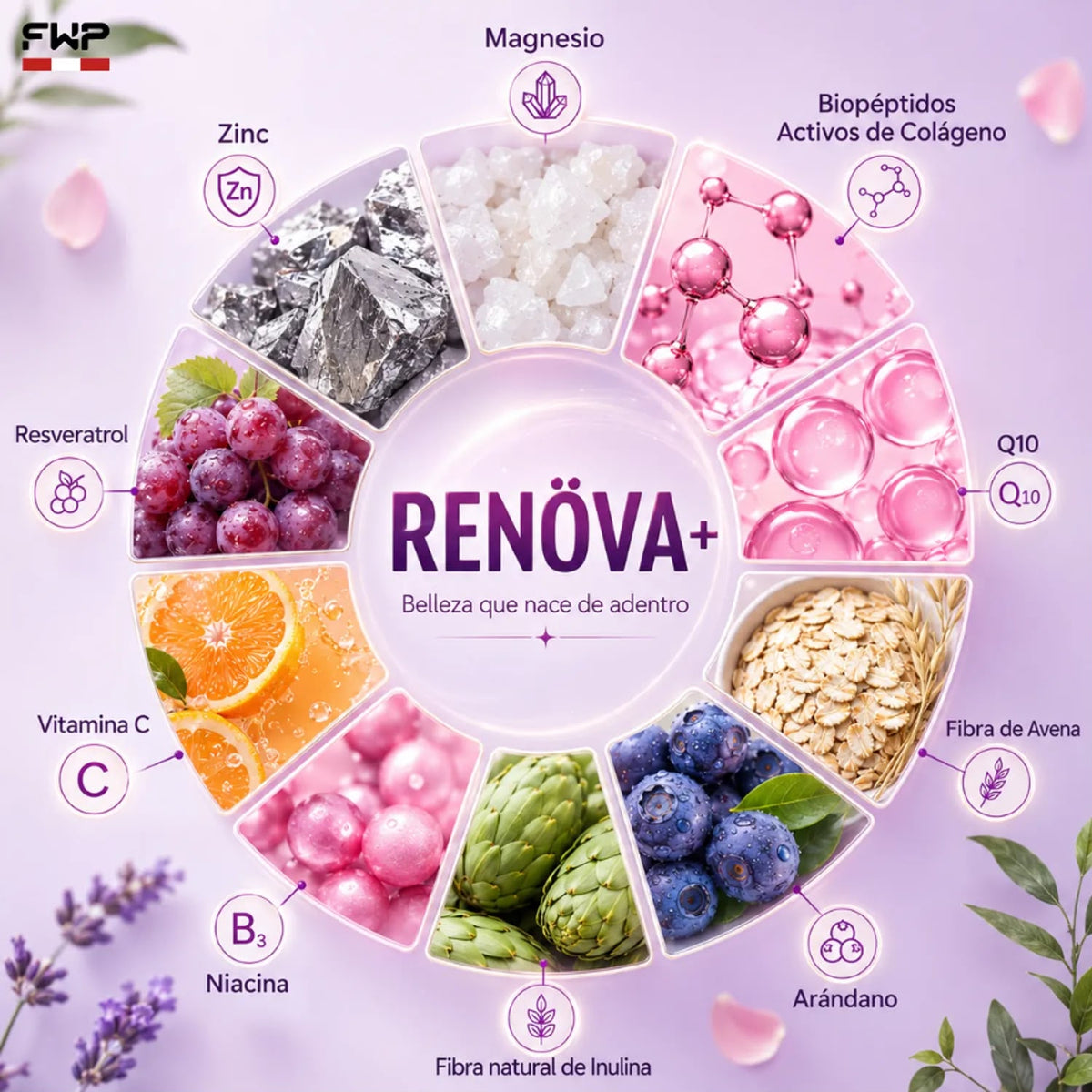 RENOVA+ colágeno Hidrolizado 315 gr con Biopéctidos activos - Piel firme, cabello y unas fuertes